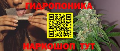 соль ск Вышний Волочёк