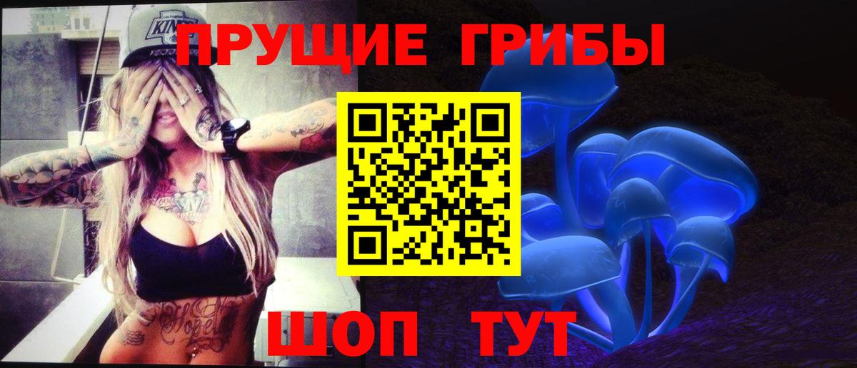 Галлюциногенные грибы прущие грибы  Псилоцибиновые грибы Cubensis  Вход с VPN  Астрахань 